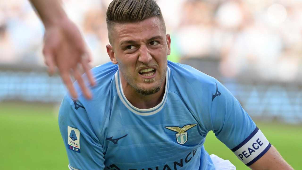 Milinkovic-Savic