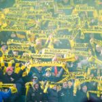 Tifosi Bodø/Glimt