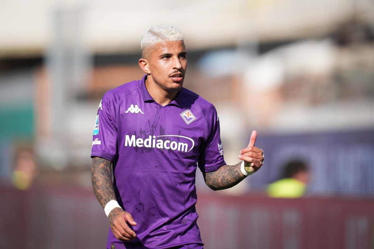 Dodo Fiorentina