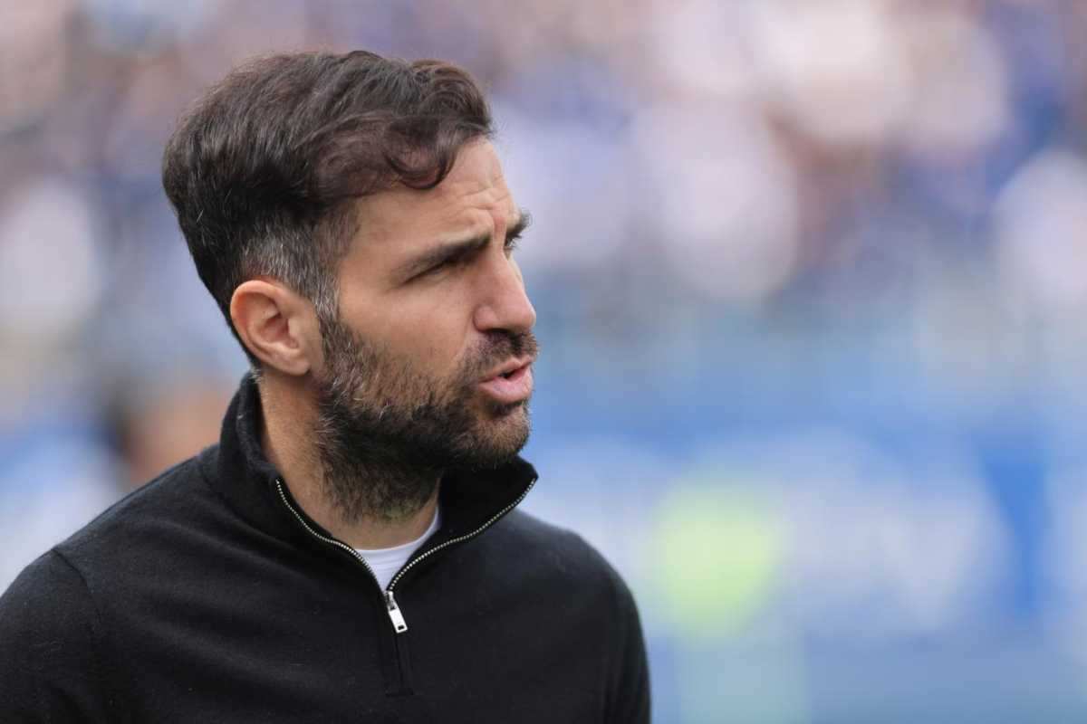cesc fabregas