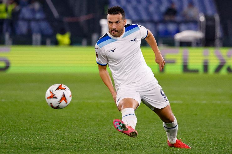Pedrito
