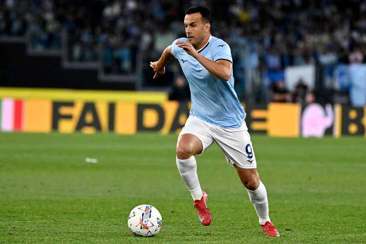 Pedro in azione